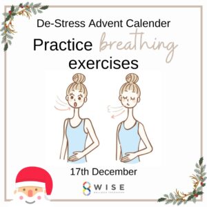 8 Wise Advent Calendar 17 Dec
